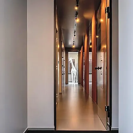 Agio Comfy Place 4* 西维尔诺瓦·马尔凯